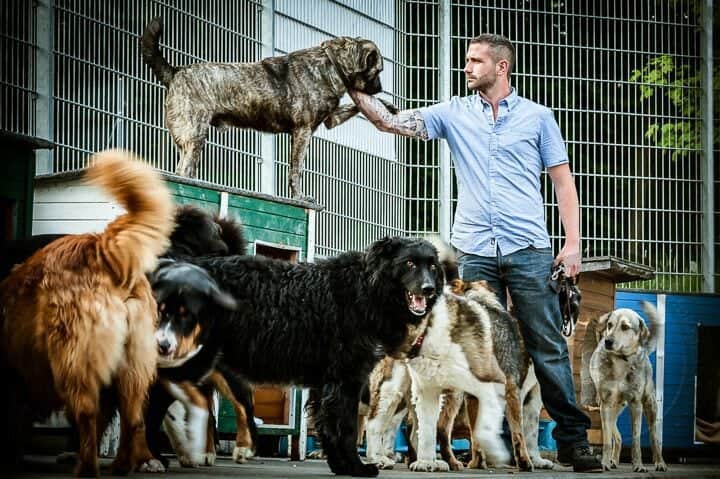 Nanina Gerbig mit Hunden